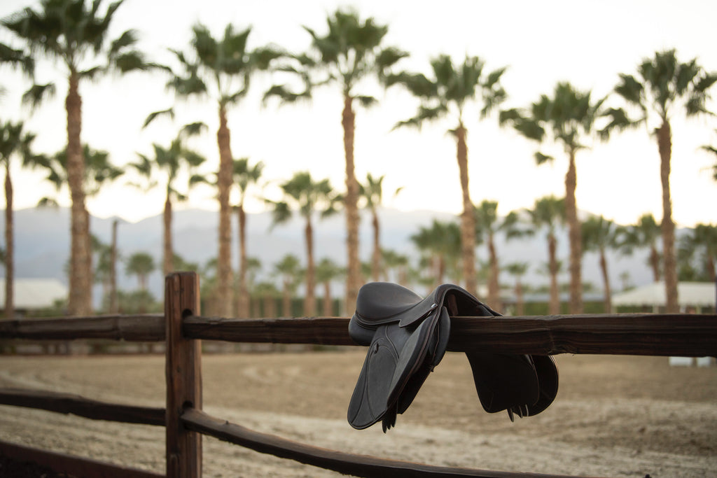 Sanctos Sellier Jump Saddle